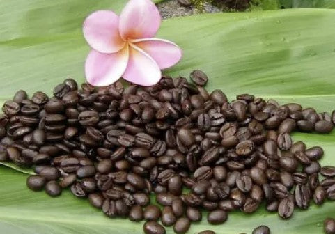 100% Kona Coffee Beans - The World's Best Coffee